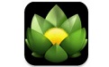 Versions For Mac