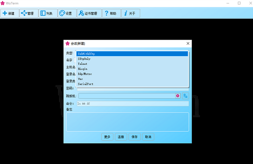 WoTerm Mac版截图
