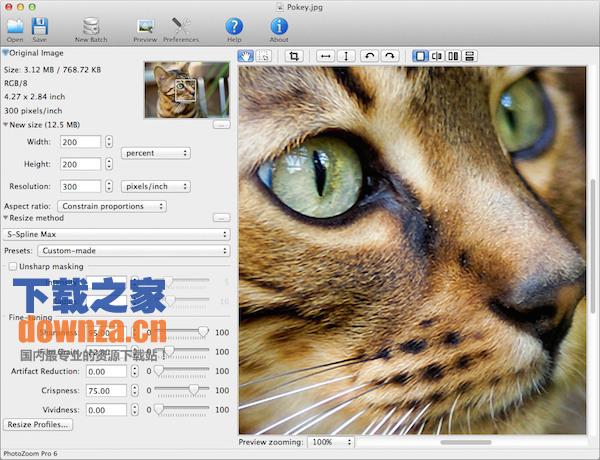 PhotoZoom Pro for mac