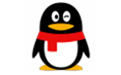 qq2008beta1