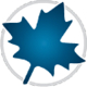 maple 2020