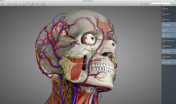 Essential Anatomy截图