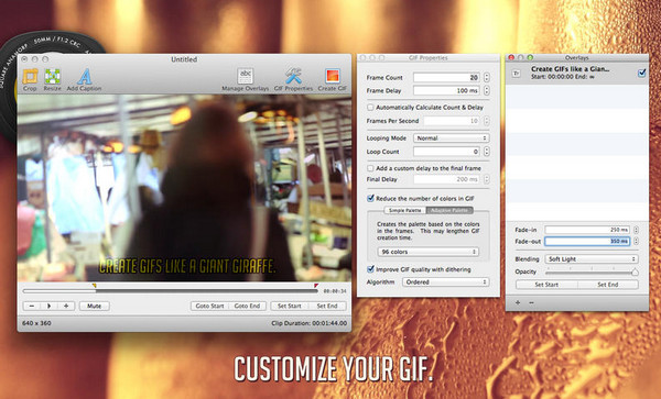 GIF Brewery For Mac截图