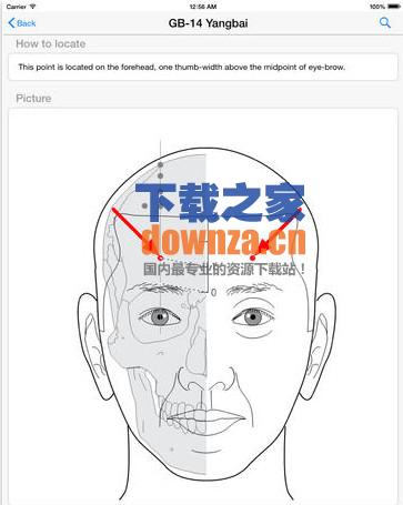 穴位治愈自己iPad版