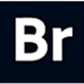 Adobe Bridge 2026