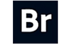 Adobe Bridge 2026