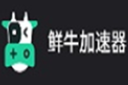 鲜牛加速器