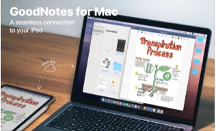 GoodNotes 5截图