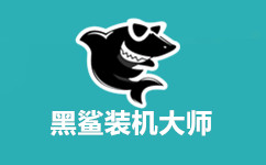 黑鲨装机大师