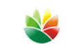 Logo设计软件(EximiousSoft Logo Designer)