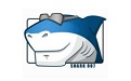 Win8codecs解码器