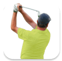 Swing it Viewer for m