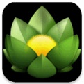 Versions For Mac