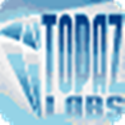 Topaz Simplify