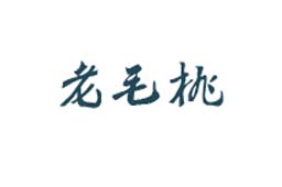 老毛桃U盘启动盘制作工具装机版