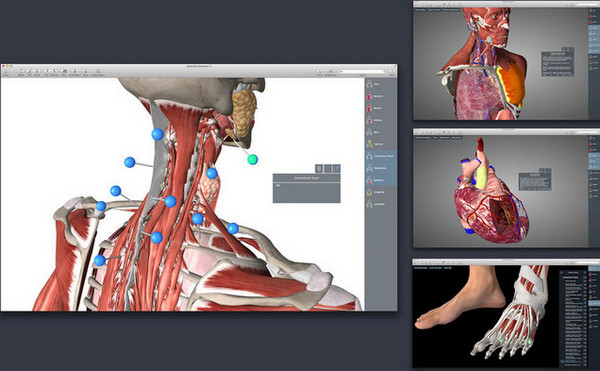Essential Anatomy截图