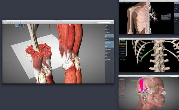 Essential Anatomy截图